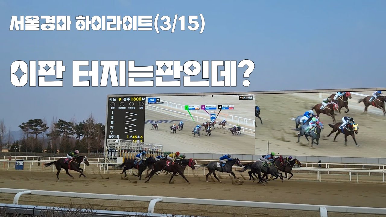 역쉬! 터지는판은 다걸어야되!(한마리놓고 별쇼를다해봤지만~꽥)