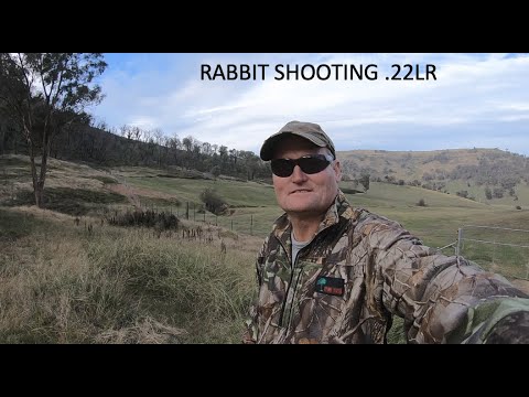 Rabbits with the .22LR - YouTube