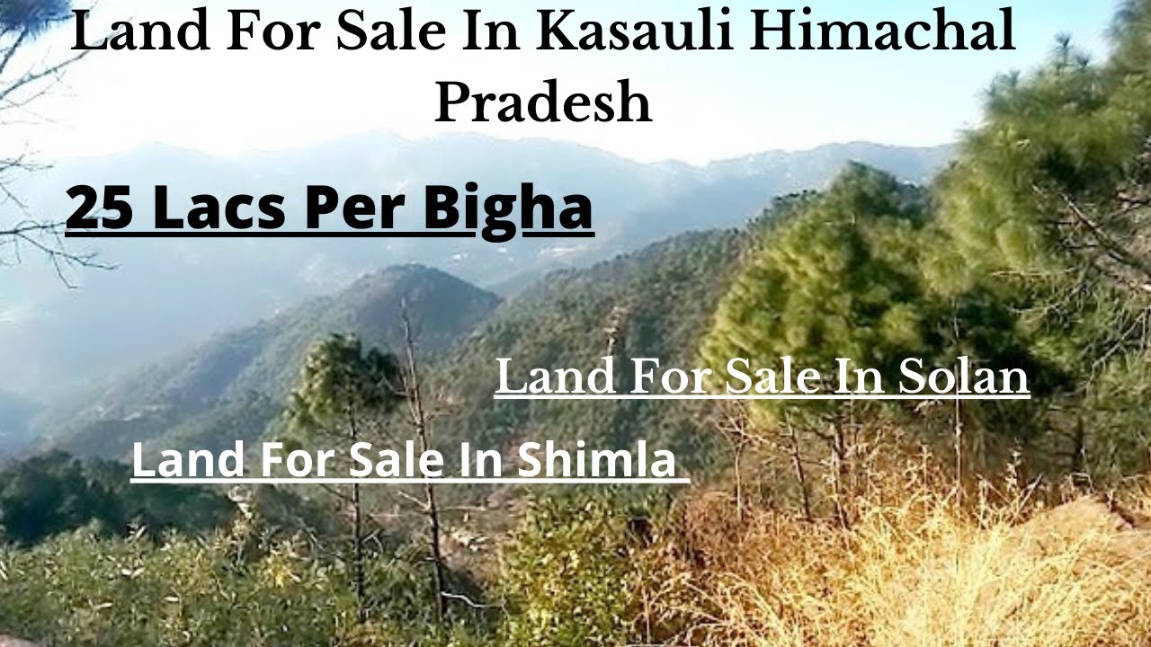 Land For Sale In Kasauli Himachal Pradesh Land For Sale In Solan