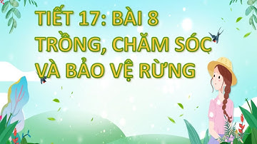 Bài 8: Trồng, chăm sóc và bảo vệ rừng Công nghệ7 KNTT_Tiết 1