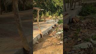 #YouTube #short #video#Jo boyega vahi payega# highlight song#