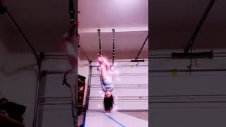 Messing Around With Gymnastics Rings And My Sister