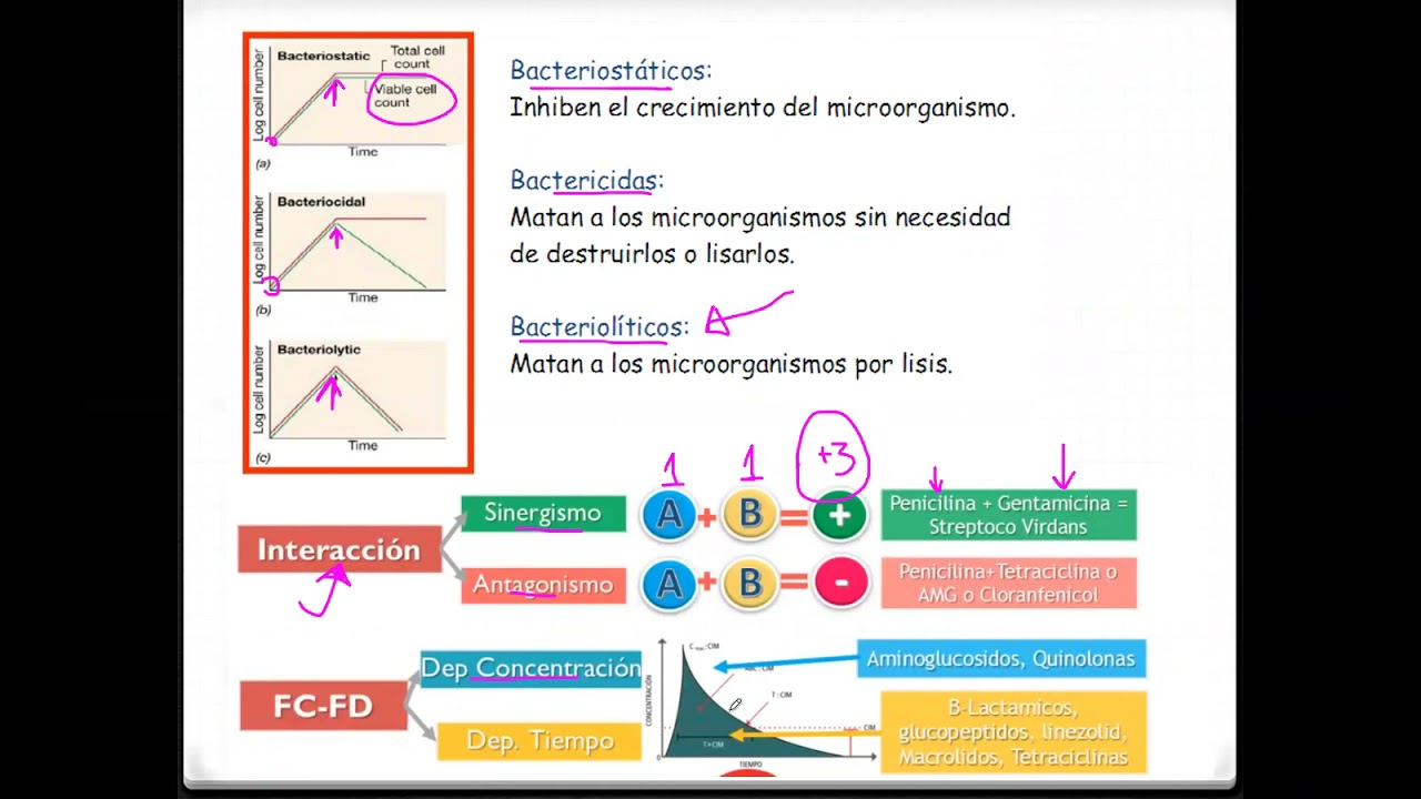 Antibioticos (Penicilinas, macrolidos, quinolonas, AG y glucopeptidos)