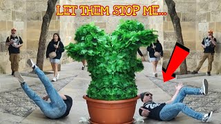 His fall was very funny ¡Let Them Stop Me!  Bushman Prank