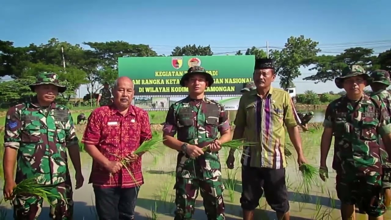 KETAHANAN PANGAN TERPADU JOTOSANUR KODIM LAMONGAN  2024