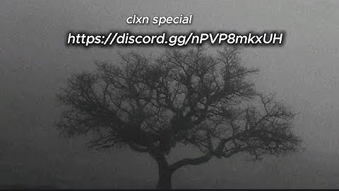 PVP / ROAM・RUSTEX REMAKE・ hadjim・clxn special