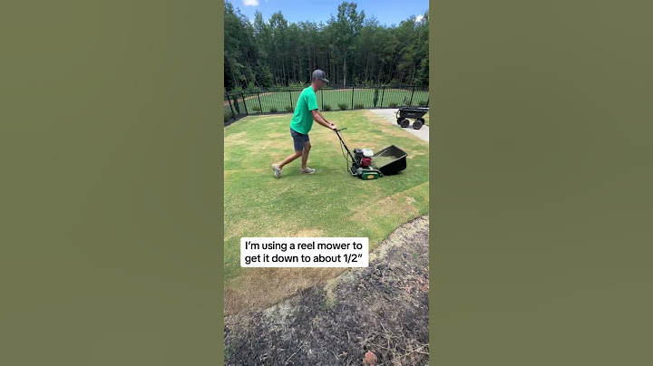 Get your Bermuda grass under control! Scalp & maintain. Trust the process ⛳️ #bermuda #lawn #diy