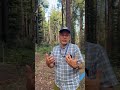 ‘Phenomenal Views’: What to Know About New Peninsula Trail