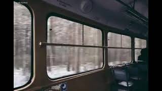 Low Roar - Bones Feat. Jófríõur Ákadóttir Türkçe Çeviri