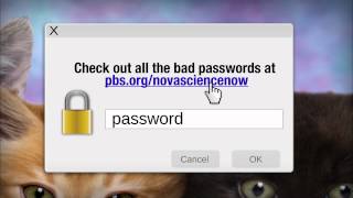 Do You Have a Bad Password? | NOVA scienceNOW