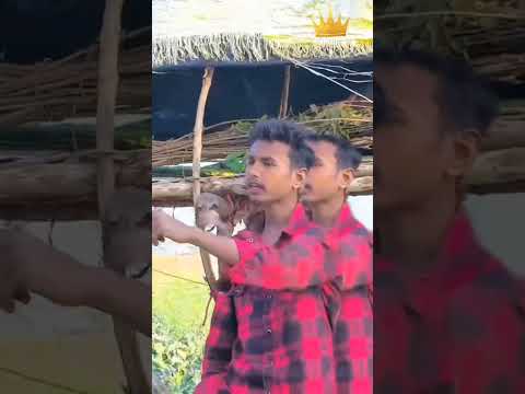 New Trending Songs Https Www Instagram Com Reel DTkJzkijPbd Igsh ZXM4YWZzYmNyYzAz 