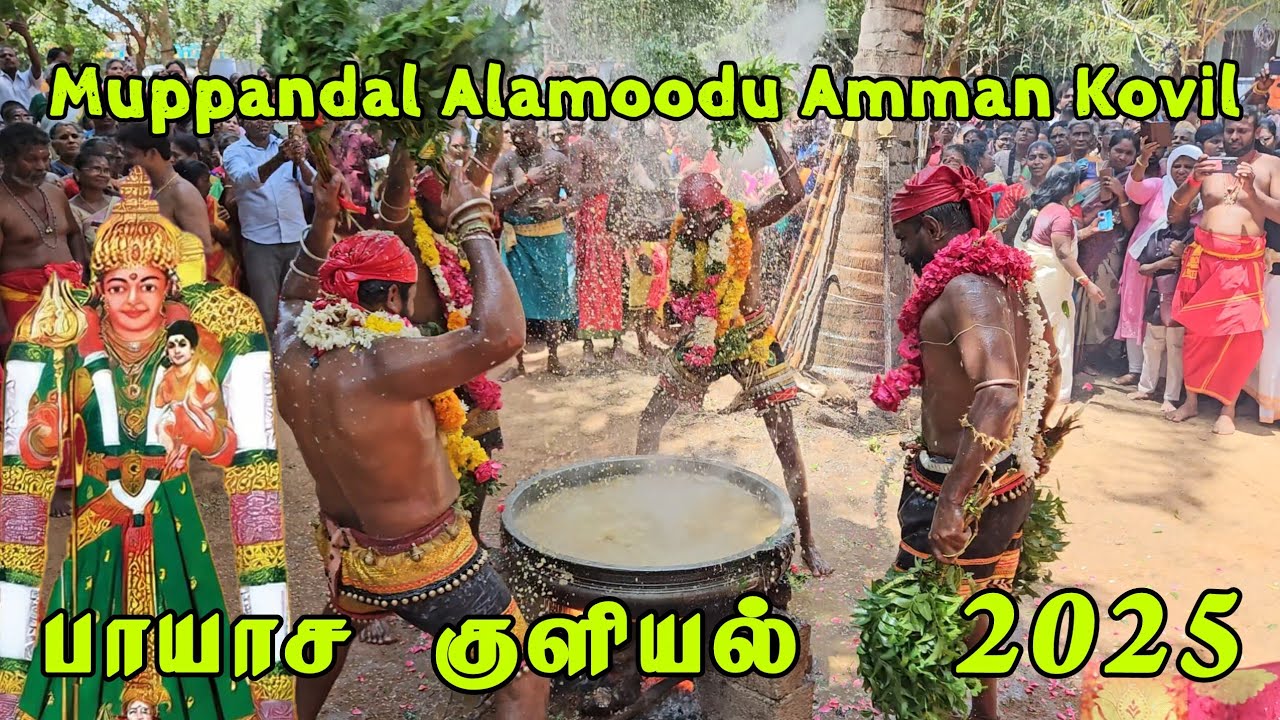 Muppandal Alamoodu Amman Kovil Aadi kodai Vizha 2025 | Muppandal Alamoodu Amman Payasa Kuzhiyal 2025