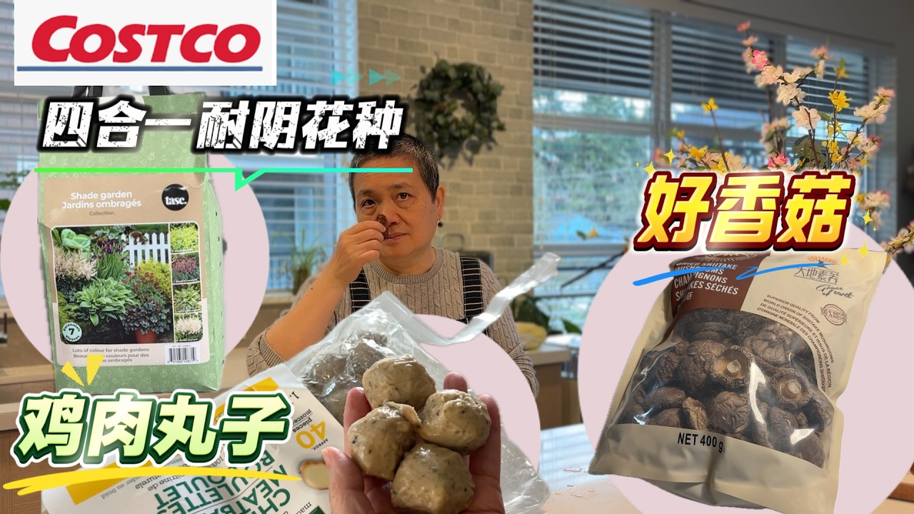 Costco最近好物分享耐阴花种超值4in1/好香菇/无添加鸡肉丸【Garden Time 田园生活分享】2026 2