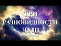 ТРИ ТИПА ДУШ во взаимоотношениях: Близнецовые Пламена, Родственные и Кармические Души.