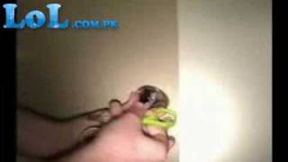 Shower Scare And Slip Pranks