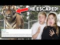 We went to the uks worst rated zoo