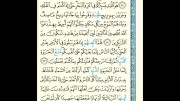القرآن الكريم صفحة 211 برواية الليث أبي الحارث عن الكسائي   القارئ عبد الرشيد صوفي