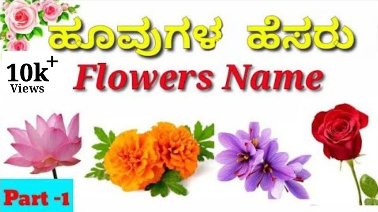 Flowers name A to Z in Kannada and English language with photos ...