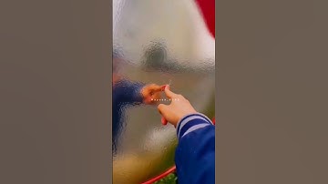 سوره المؤمنون من الايه ال 84 الى الايه 91 الشيخ ياسر الدوسري 🥰#القرآن_الكريم #roblox #فلسطين