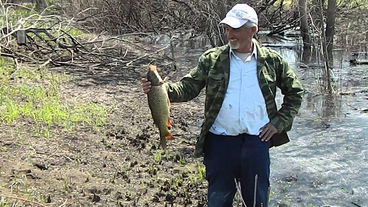 Тур на волгу рыбалка