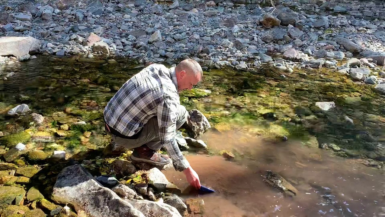 Panning for Gold Colorado YouTube