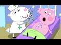 Peppa pig please dont hurt suzy sheep  sad story of peppa pig  peppa pig funny animation