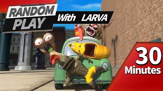 π
»π
°ππ
π
° π RANDOM PLAY I Watch 30 minutes a day!! I Larva Cartoon I Larva Official Channel