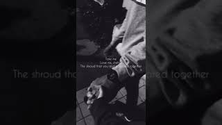 Rauf U0026faik english S