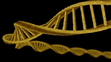 Co je replika DNA?