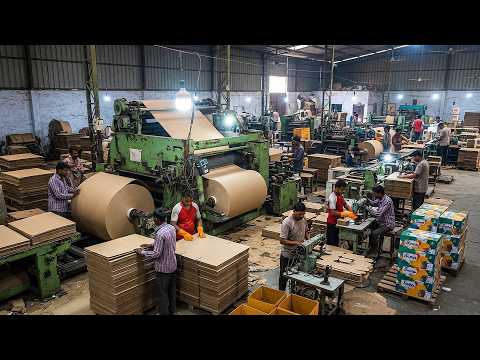 Cardboard Box Making In Huge Quantity At Factory Level | How Cardboard Is Manufactured In Factory