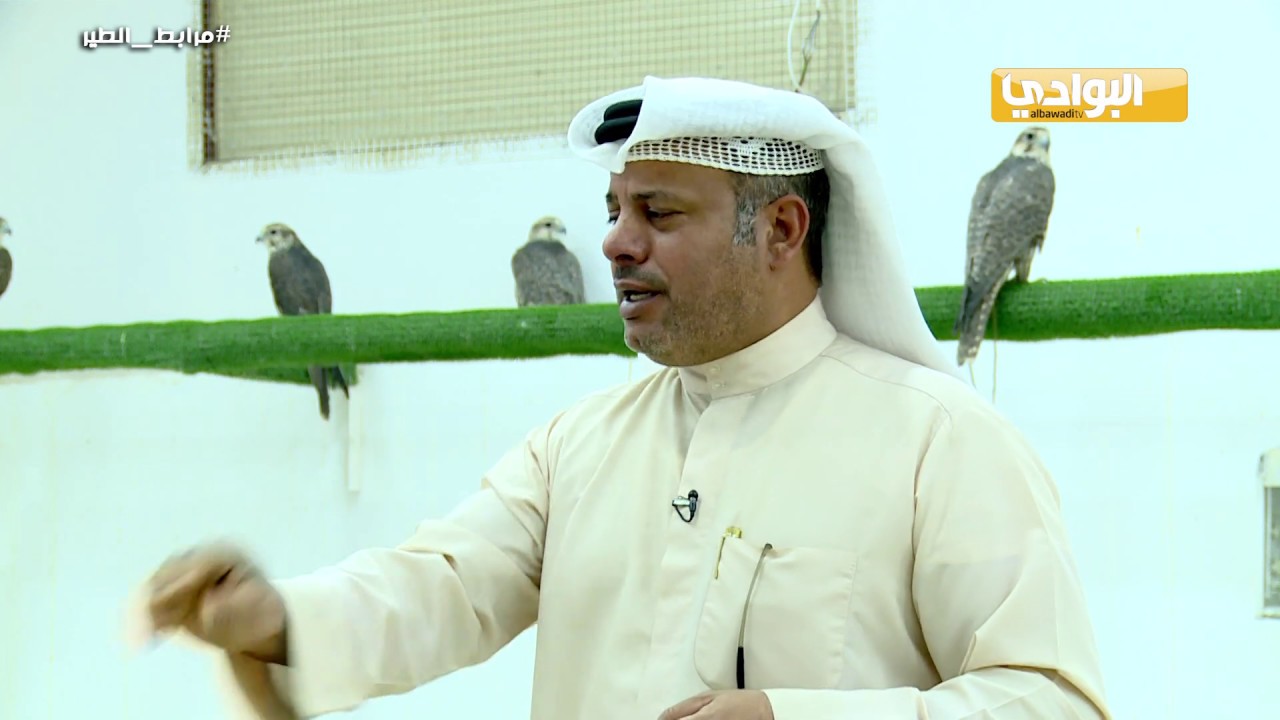 الحلقة السابعة عشرة من برنامج مرابط الطير | مربط الصقار خالص الهاجري