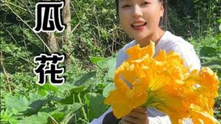 又到了吃南瓜花和南瓜尖的季节！南瓜花的这种做法你吃过吗？ #南瓜花 #农村美食 #我的乡村生活 #应季美食 #新农人计划2025