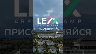 Мы собрали отзывы участников LexxCryptoCamp!