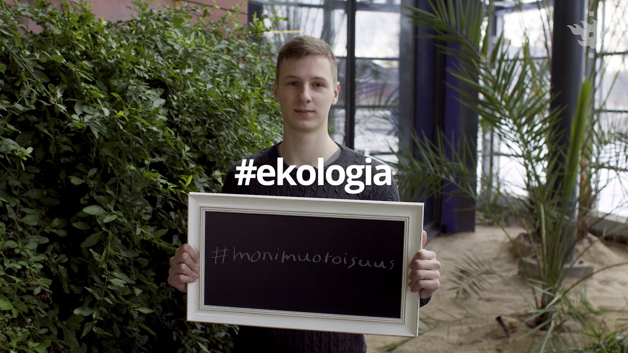 kandi ig Metsätieteiden kandiohjelma - trailer