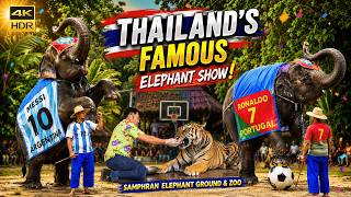 4K HDR | The Greatest Elephant Theme Show in the World | Samphran Zoo Thailand