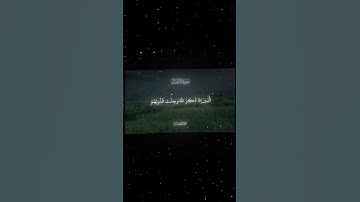 سورة الأنفال|2|القارئ:#محمد_اللحيدان #قران #quran #راحة_نفسية #قران_كريم #تلاوة_هادئة #تلاوة_خاشعة