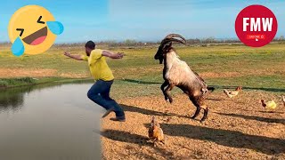 Funny \& Hilarious People's Life 😂 #62 - Try not to Laugh | Funny Fails Compilation 2024