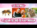 УГАДАЙ ПЕСНЮ ПО КАРТИНКАМ ЗА 10 СЕКУНД | РУССКИЕ ХИТЫ 2019 ГОДА | ГДЕ ЛОГИКА?