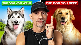 Top 5 Dogs You Think You Want… vs What You Actually Need