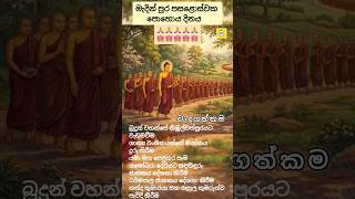 Subscribe කරලම යන්න රත්තරන් යාළුවනේ #buddha #lordbuddha #travel #shorts #madinpoya 🙏🪷