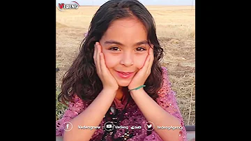 از جوم كوند مالا كالو Vedeng Shorts 