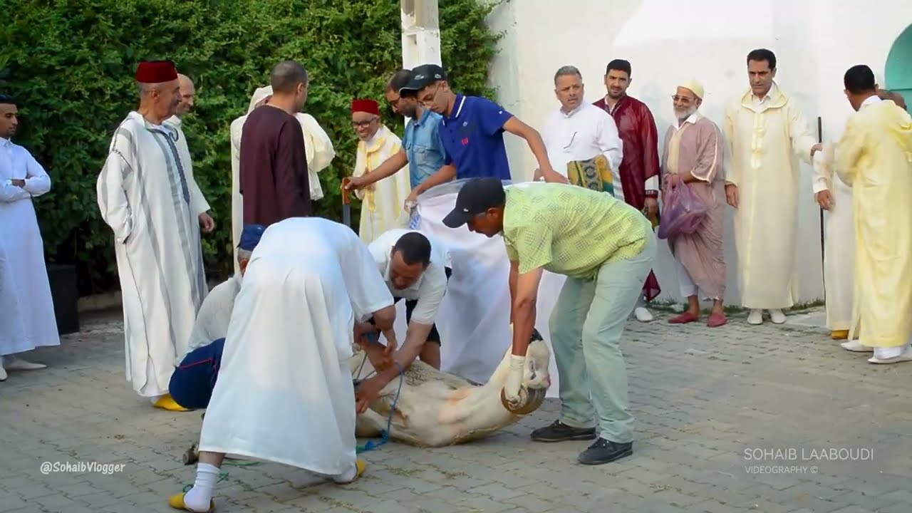 أجواء وتقاليد لعيد الأضحى بمدينة وزان😍هي المدينة الوحيدة المحتفضة بهذه التقاليد