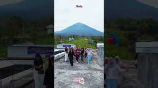 Indomaret Viral Wonosobo  Tempatnya Sejuk Vibesnya Jepang 