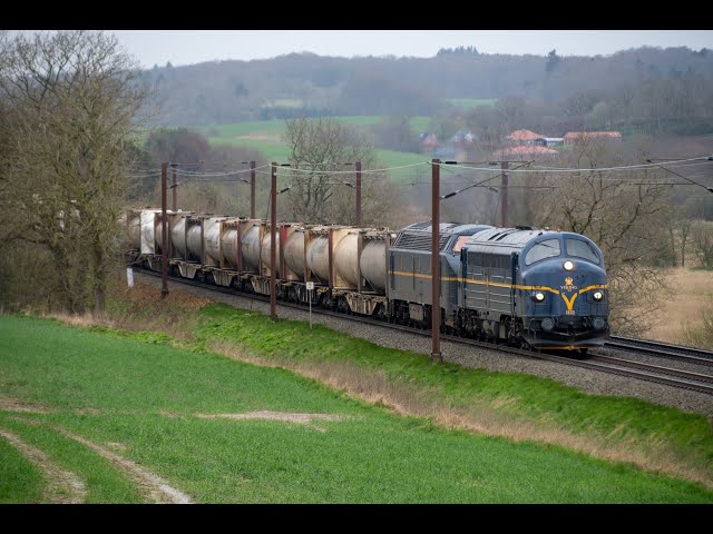 VIKING-Rail + DB Cargo med godstog den 09-04-2024