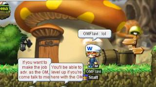 FlaviMS V75 Private Server