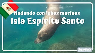 ISLA ESPIRITU SANTO, Nadamos con lobos marinos!  La Paz #6 Luisitoviajero