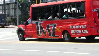 TMZ tourist Tours screaming Sunset Blvd Los Angeles California July 10, 2026