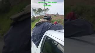 Keluar Pagi Balik Petang Ada Kala Sdanai Malam