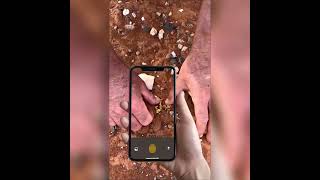 1 Vid 3 11