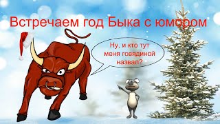 Встречаем год быка с юмором. Режим ожидания непонятного чуда включен. Забавная видео открытка